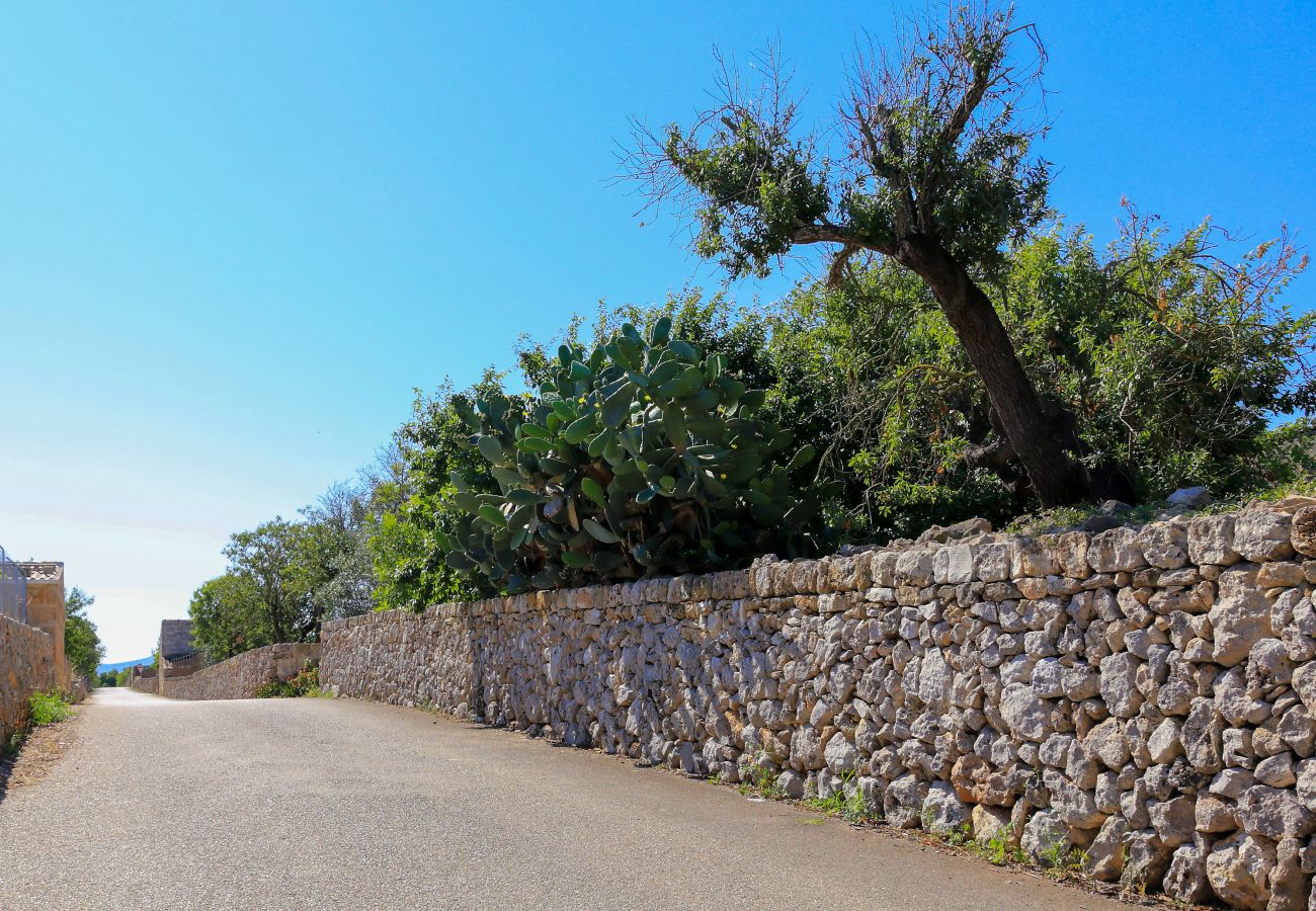 Villa in Santa Margalida - D048 Villa Vermissa by Mallorca Charme