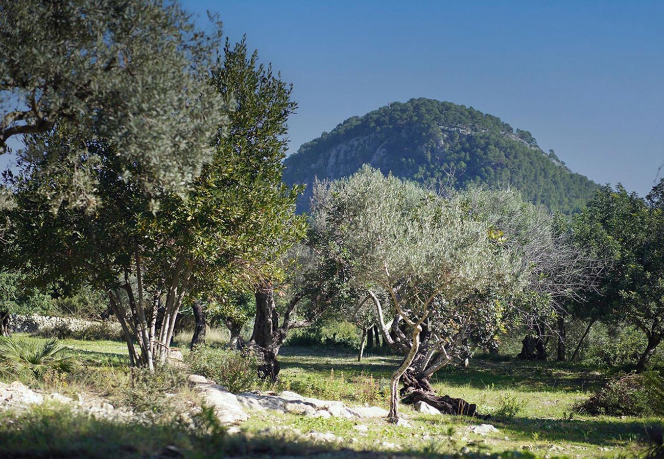 Finca in Pollensa / Pollença - Son Alordas, Finca 5StarsHome Mallorca