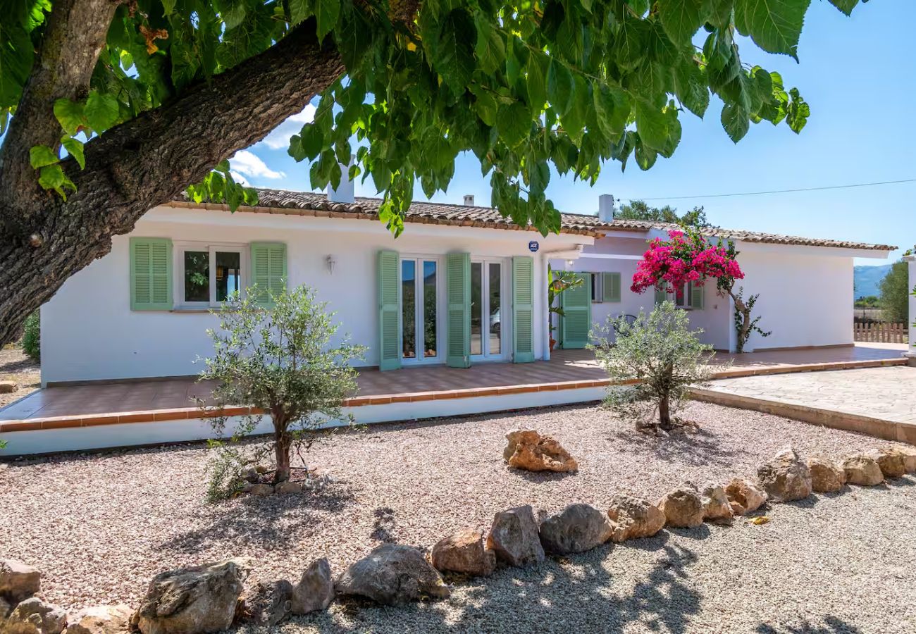 Finca in Pollensa - CAN SUCRER Ref. VP99