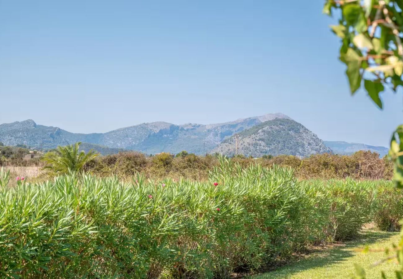 Finca in Pollensa - CAN SUCRER Ref. VP99