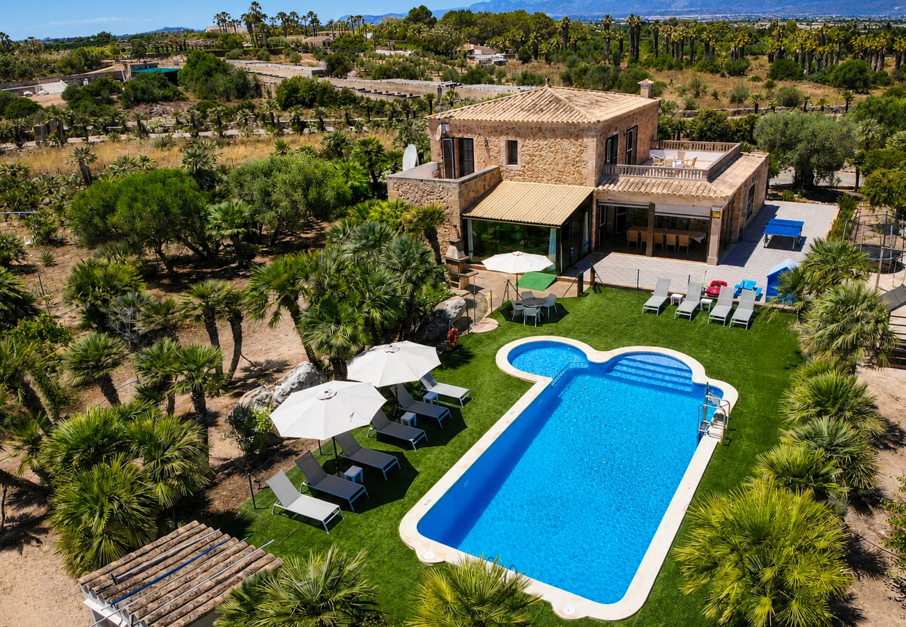Villa in Can Picafort - 286 Palmitos 1 by Mallorca Charme