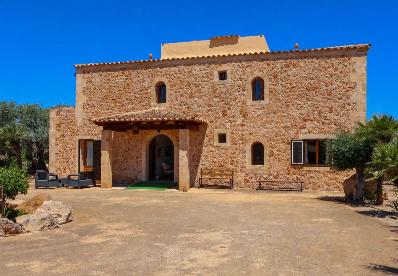 Villa in Can Picafort - 287 Palmitos 2 by Mallorca Charme