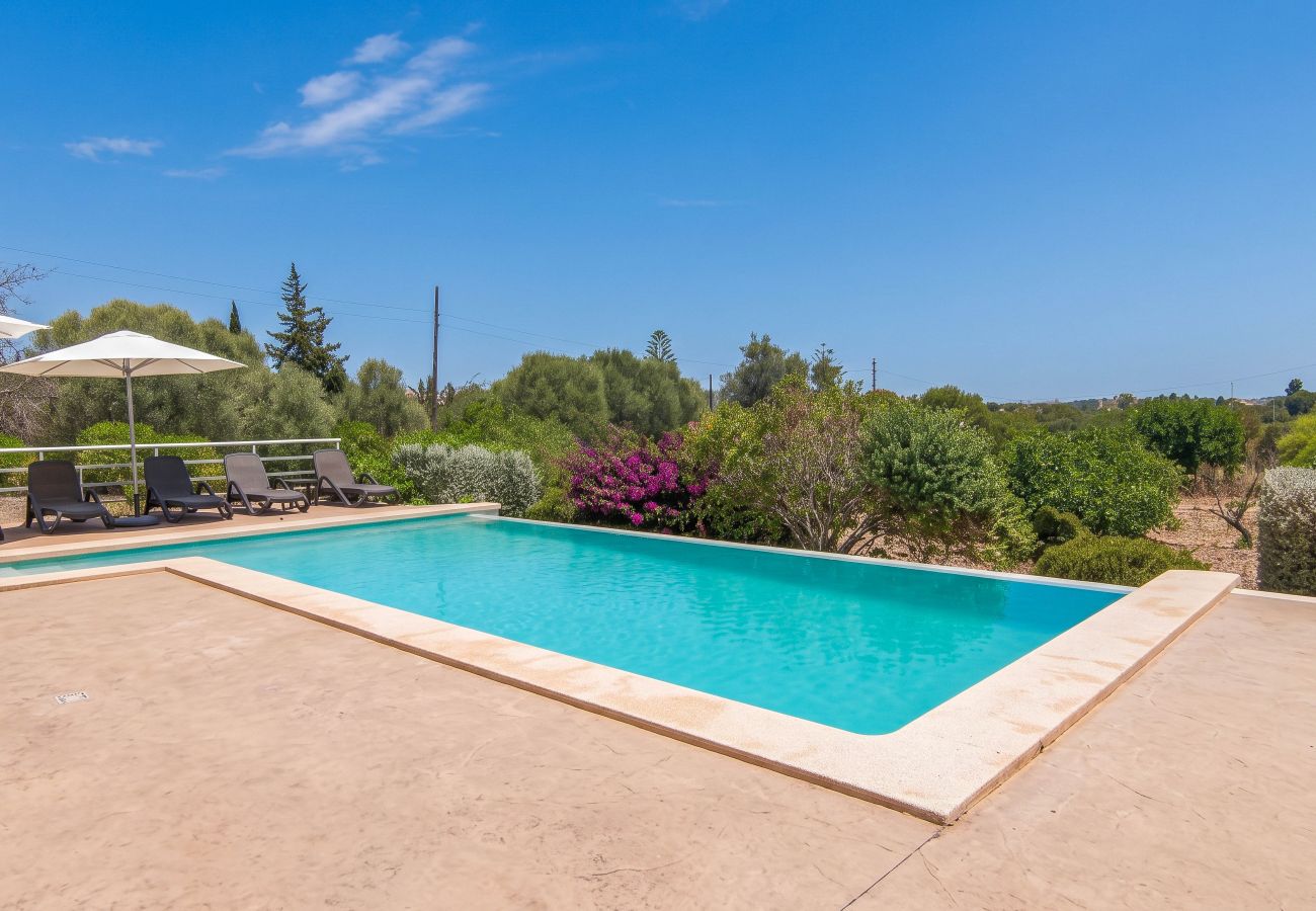 Chalet in Alcudia - 290 Es Puig by Mallorca Charme