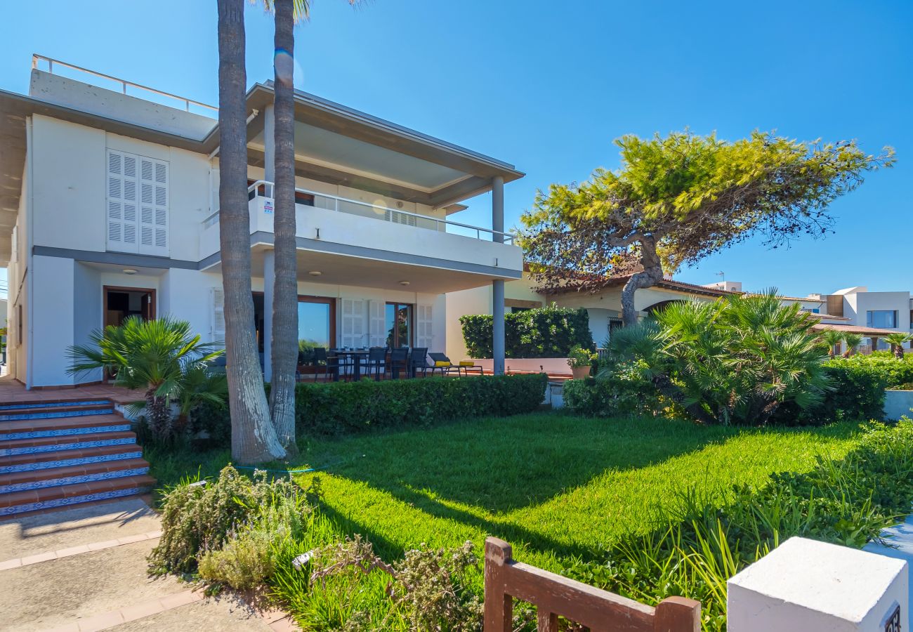 Apartment in Alcudia - C011 Can Pericas by Mallorca Villa Selection