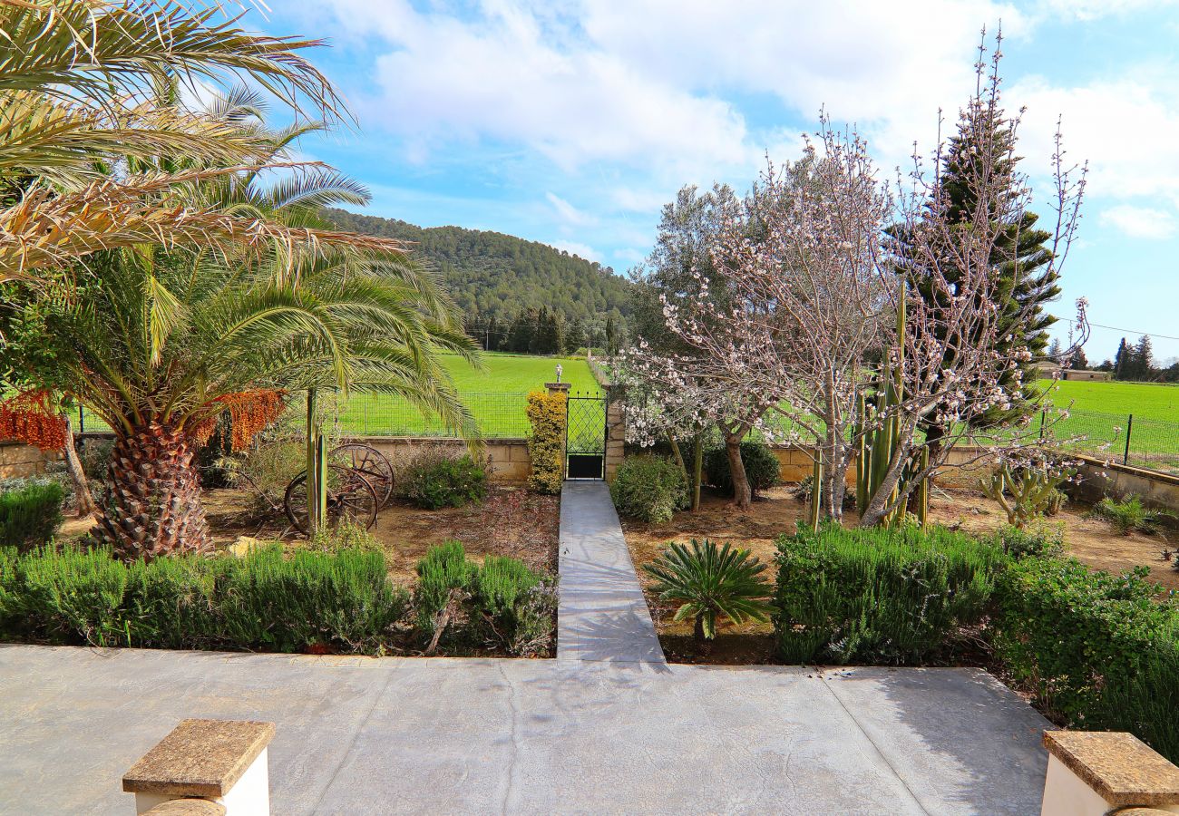 Country house in Sa Pobla - Villa Can Mussol 040 by Mallorca Charme