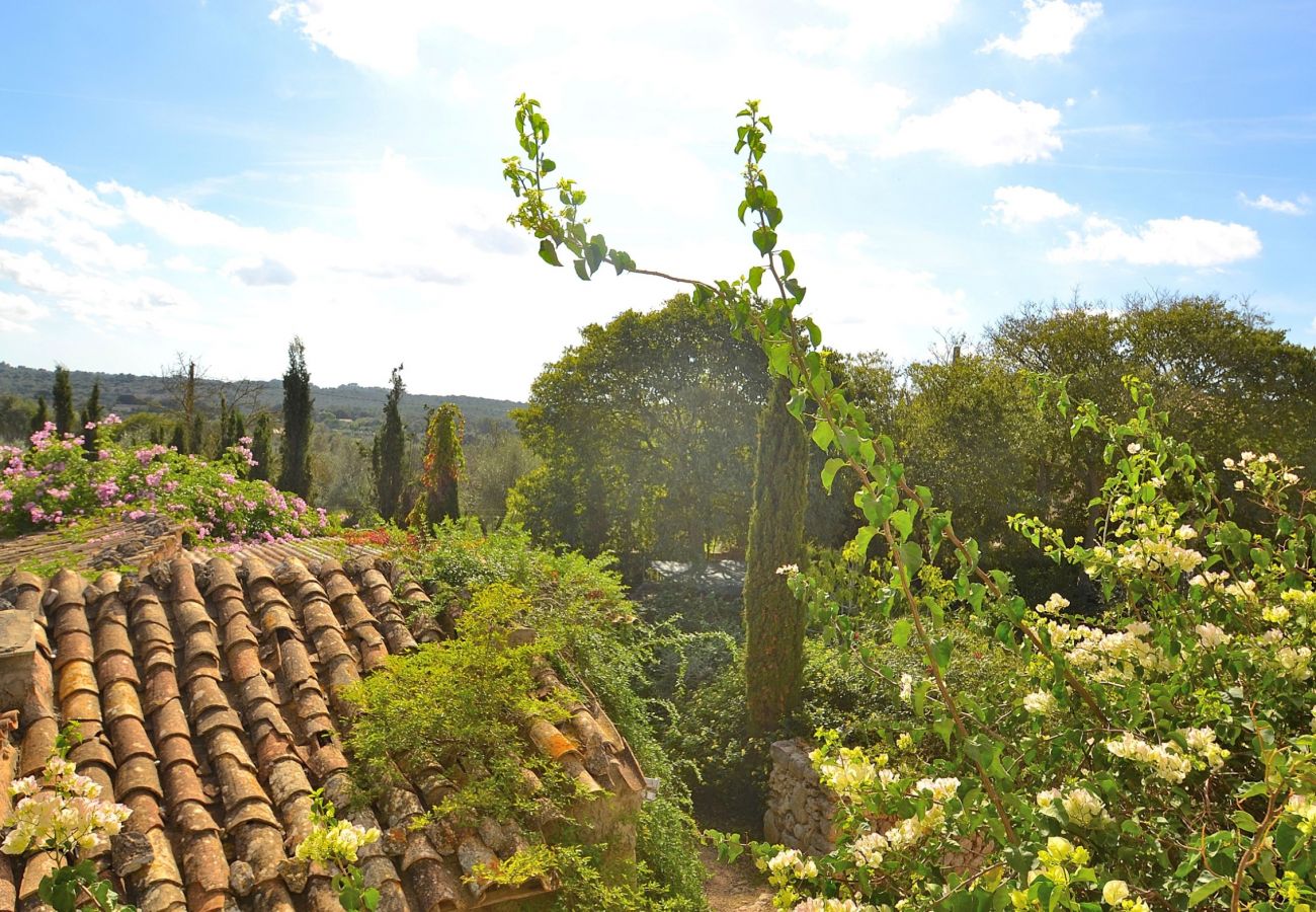 Country house in Llubi - Finca Son Barraquer 047 by Mallorca Charme