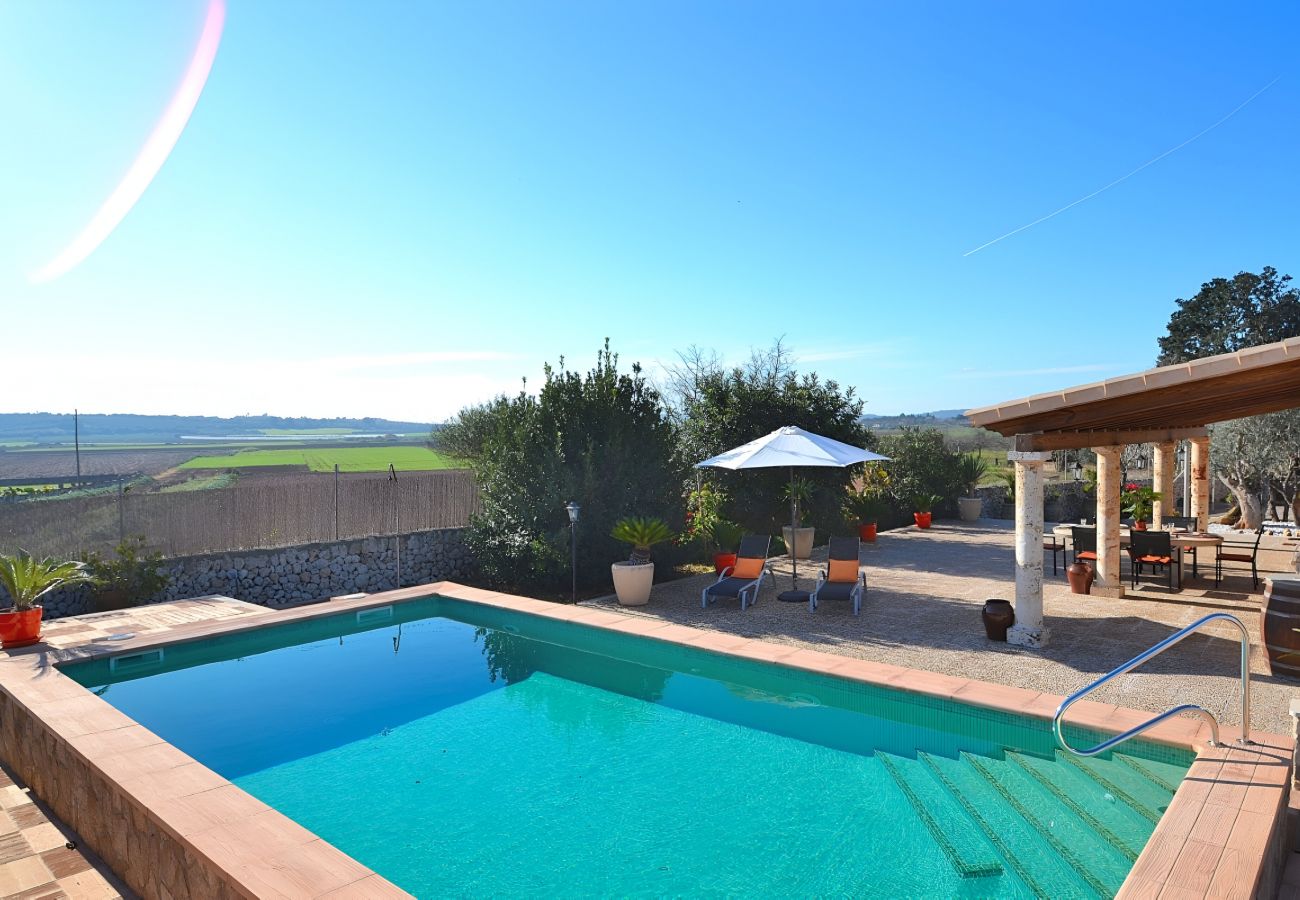 Spacious, holiday, garden, quiet