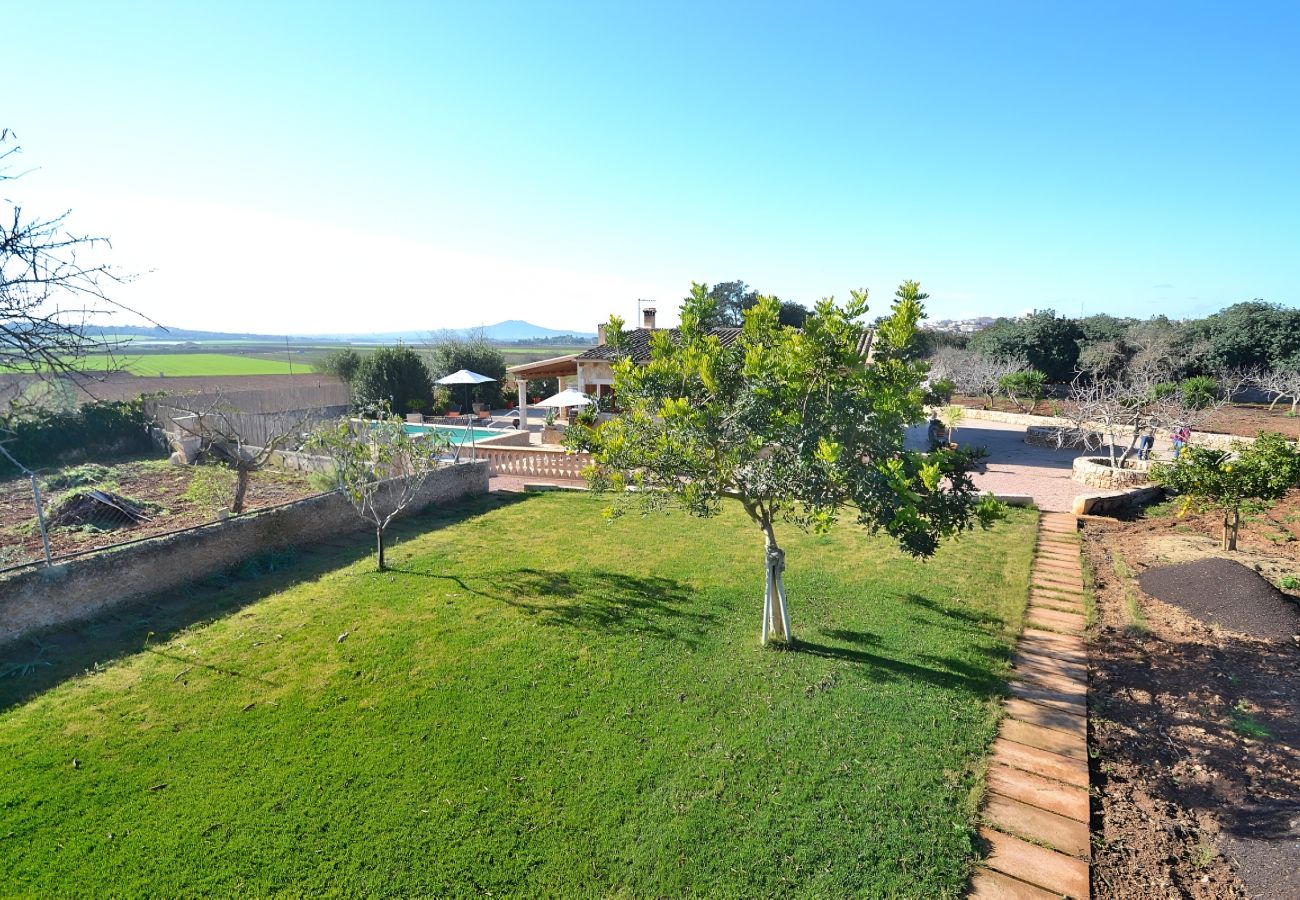 Country house in Ariany - 078 Finca Sa Rota VT/1953 by Mallorca Charme