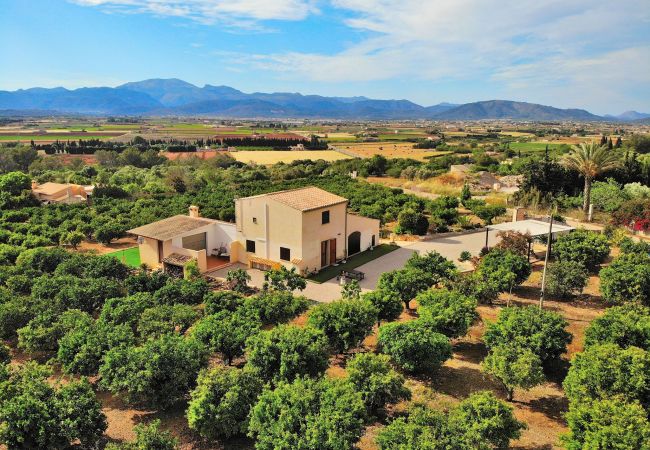 Country house in Muro - Finca Els Tarongers 081 by Mallorca Charme