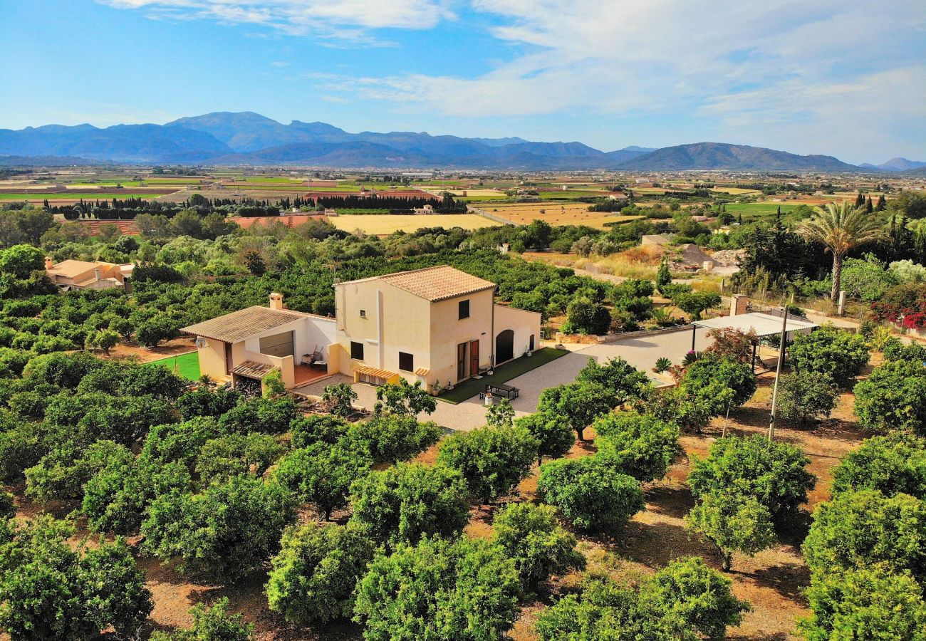 Country house in Muro - Finca Els Tarongers 081 by Mallorca Charme