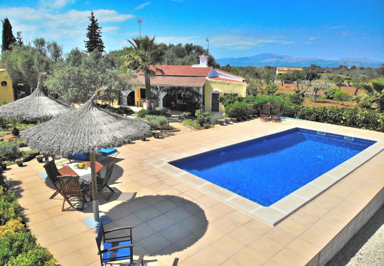 holiday finca, swimming pool, nature, Mallorca, holidays