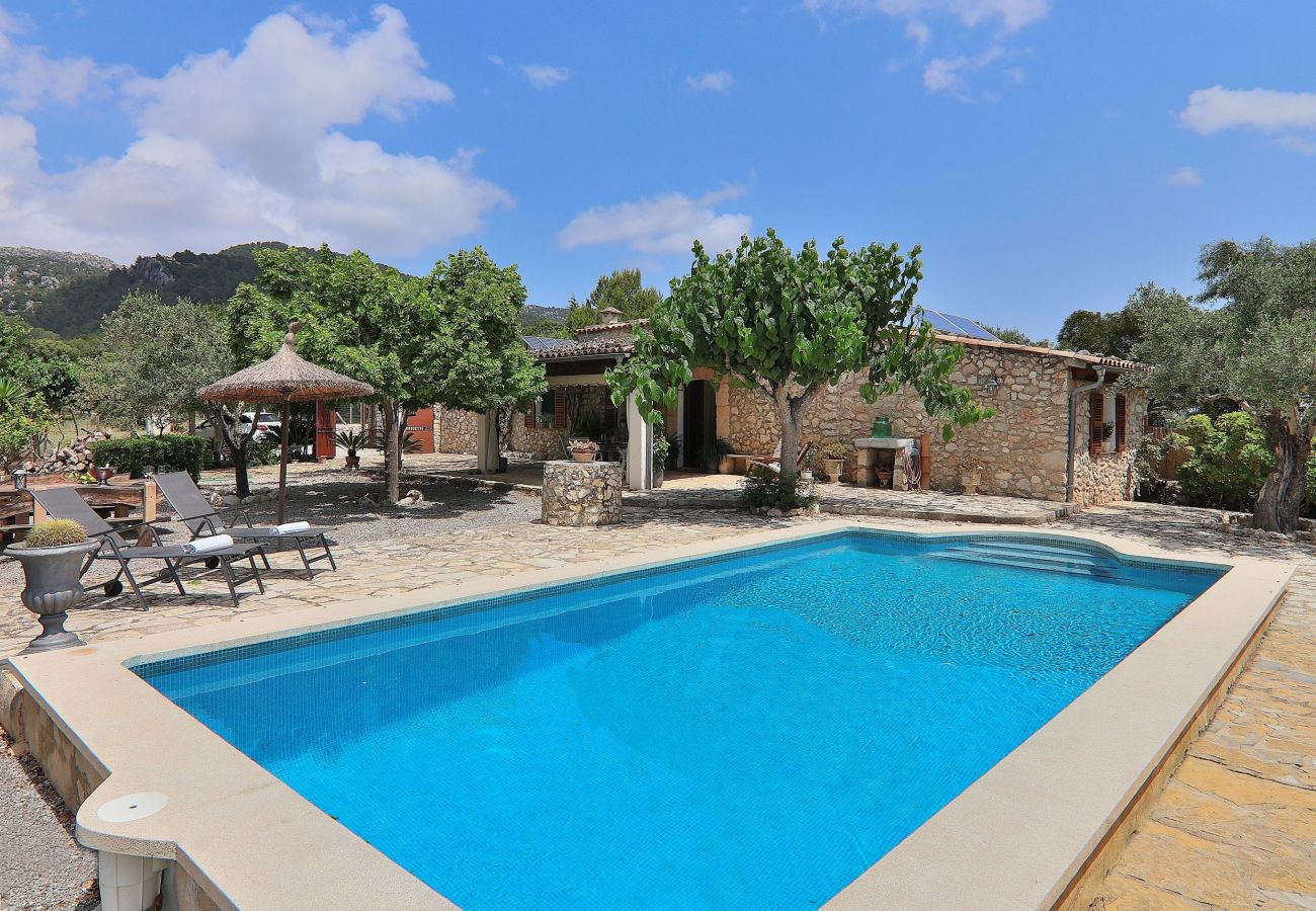 Finca, Nature, holidays, summer, swimming pool, garden.