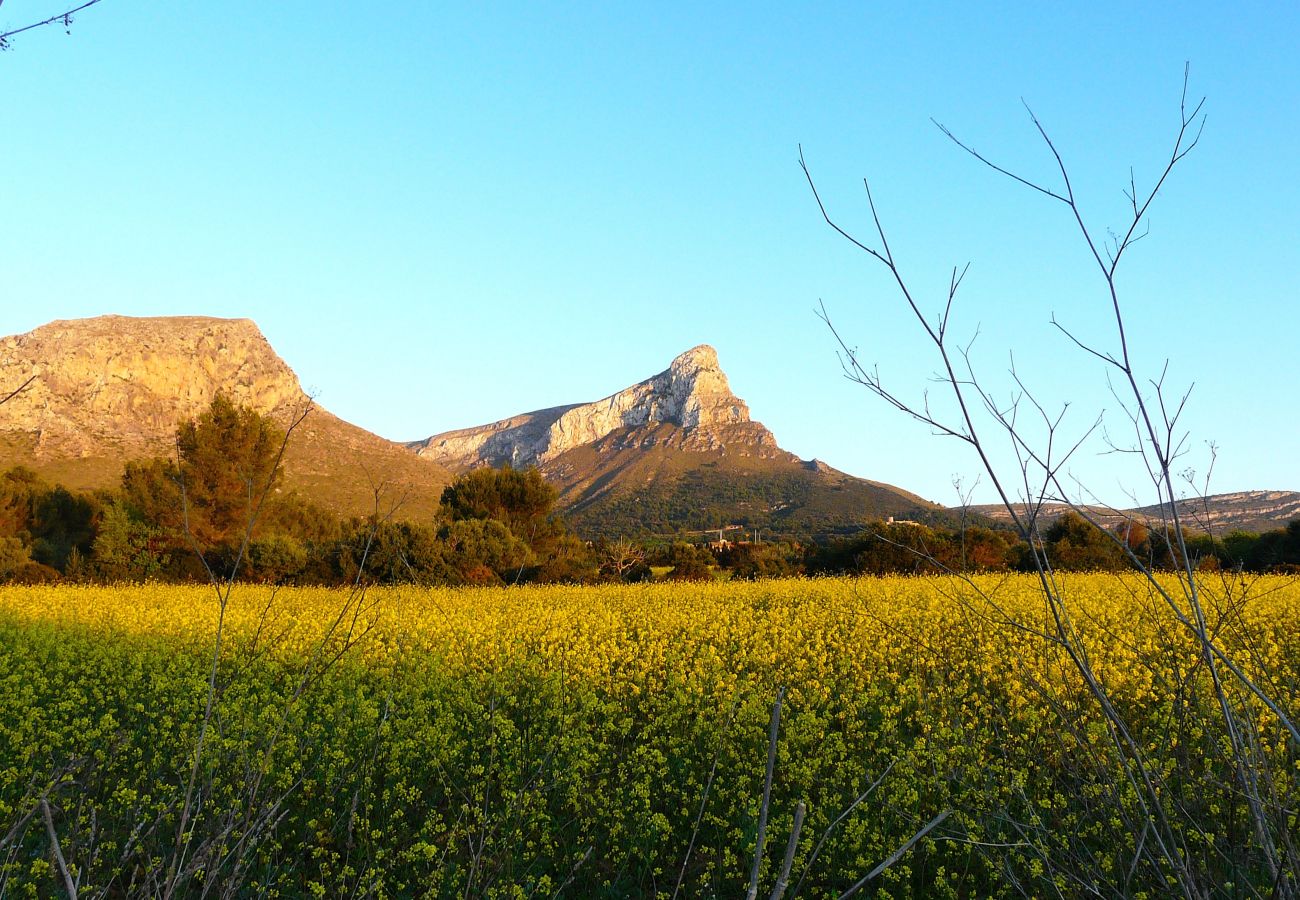 From 100 € per day you can rent your villa in Mallorca From 100 € per day you can rent your villa in Mallorca