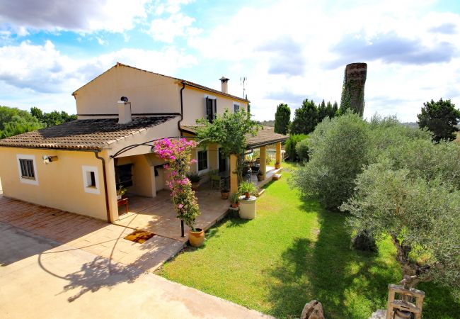 Country house in Santa Margalida - Castellet Finca Santa Margalida 120 Country house in Santa Margalida - Castellet Finca Santa Margalida 120