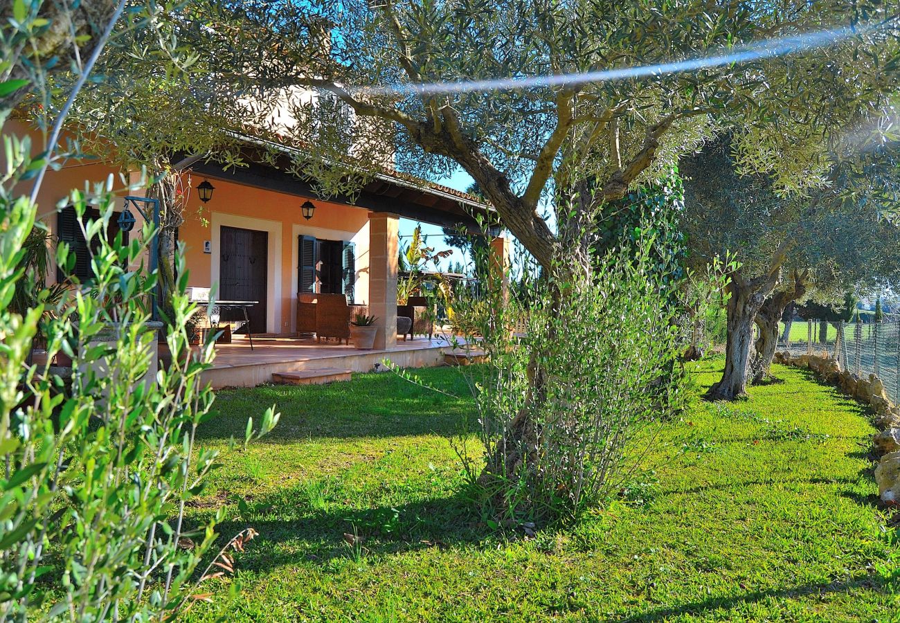 Country house in Santa Margalida - Castellet Finca Santa Margalida 120 Country house in Santa Margalida - Castellet Finca Santa Margalida 120
