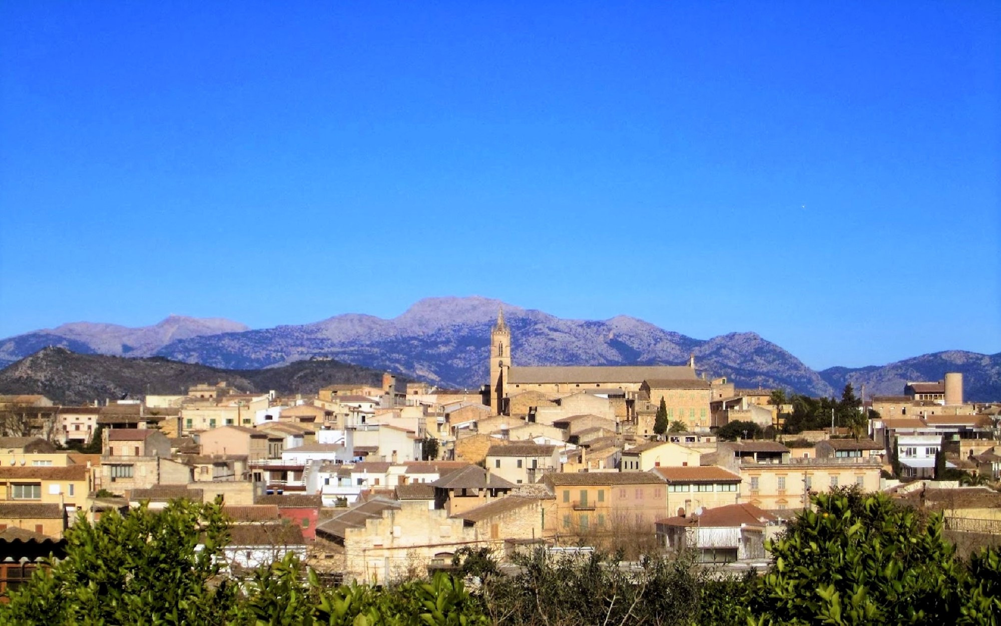 Fina In Llubi Majorca S Era De Sant Francesc