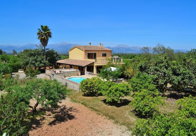 From 100 € per day you can rent your villa in Mallorca