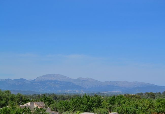 Country house in Sineu - Son Rossinyol Sineu villa 128 Country house in Sineu - Son Rossinyol Sineu villa 128
