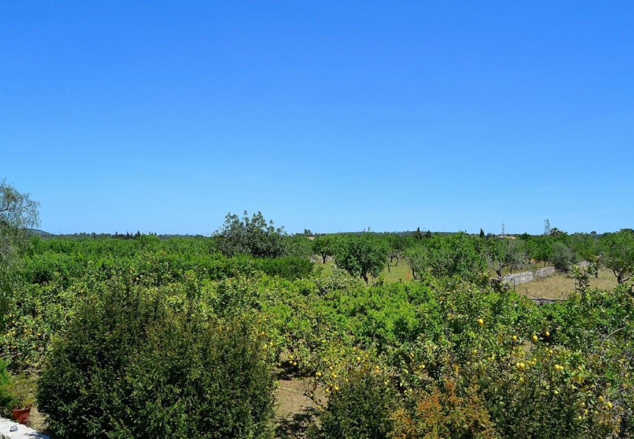 Country house in Sineu - 128 Finca Son Rossinyol ETV/10657 by Mallorca Char