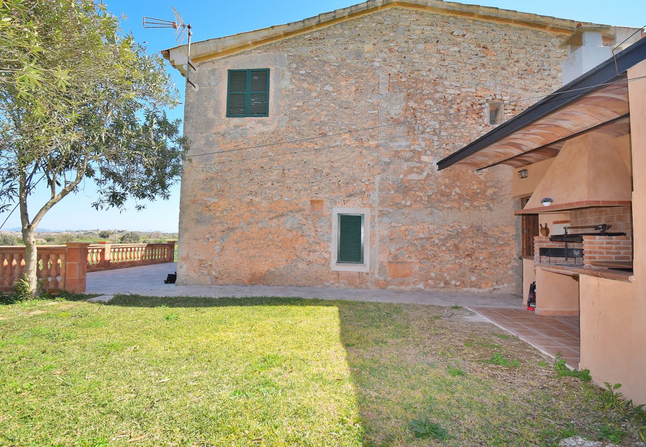 Country house in Llubi - Sa Vinyota Finca Llubí Mallorca 131