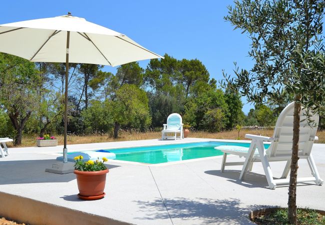 From 100 € per day you can rent your villa in Mallorca