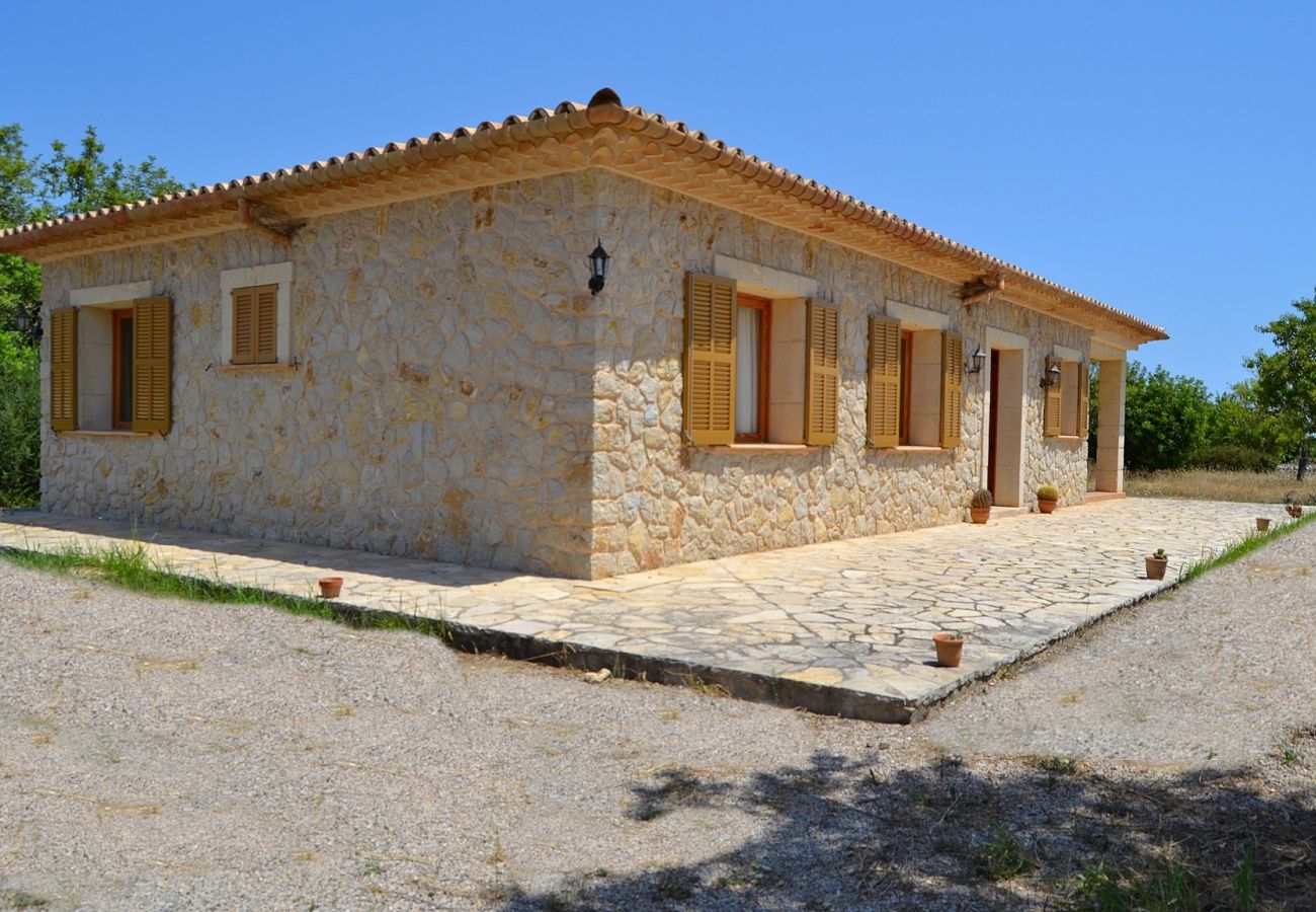 From 100 € per day you can rent your villa in Mallorca