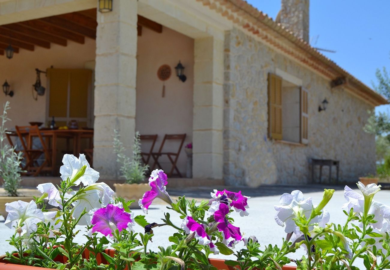 From 100 € per day you can rent your villa in Mallorca