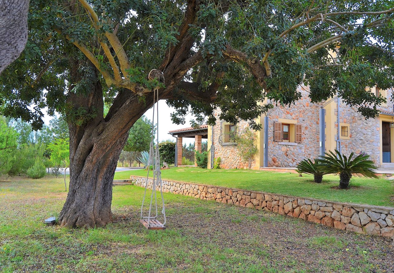 From 100 € per day you can rent your villa in Mallorca