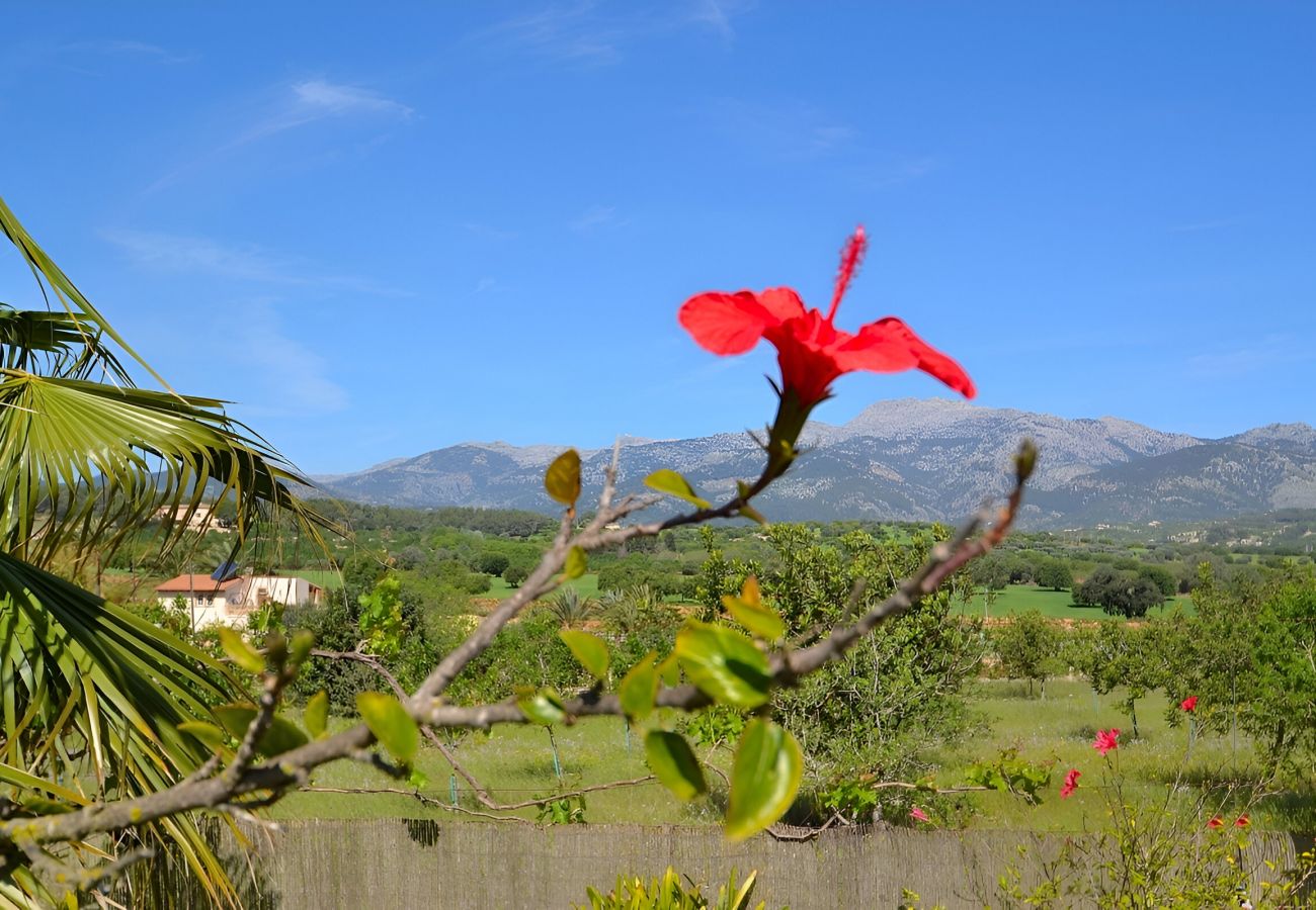 Country house in Inca - 171 Villa Tramuntana VT/311/2012 by Mallorca Charm
