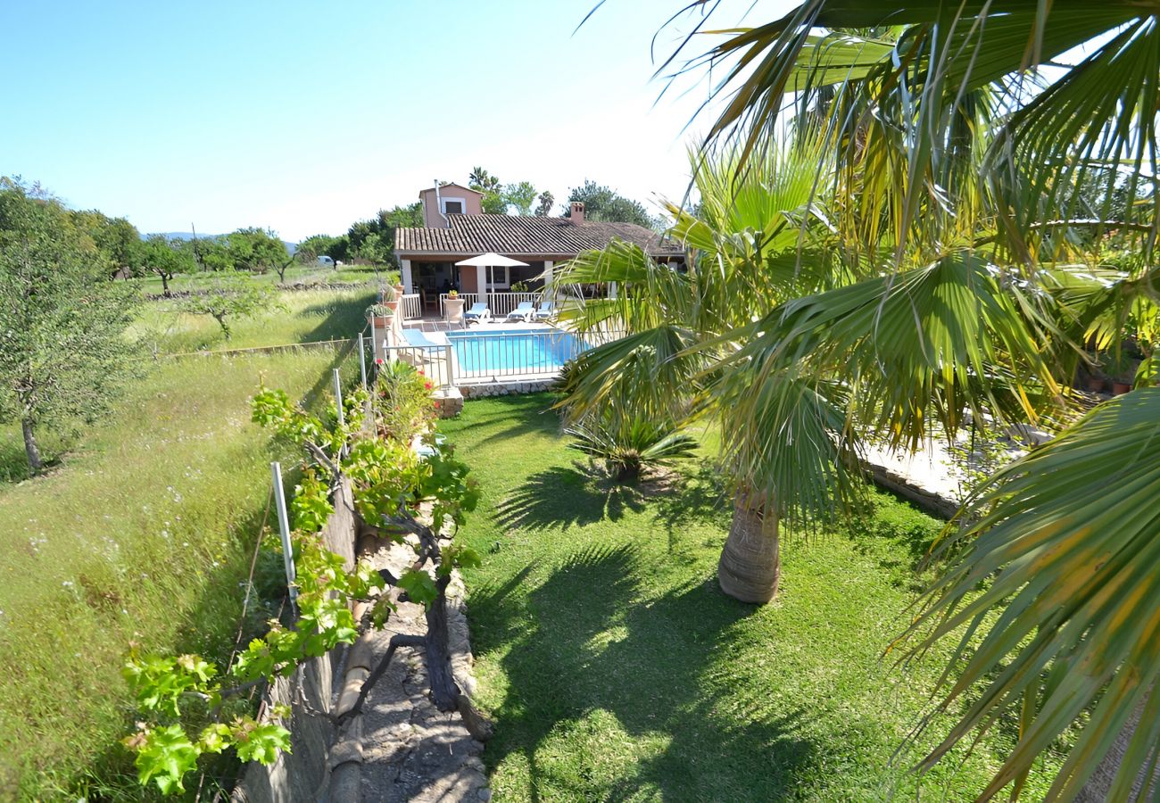 Country house in Inca - 171 Villa Tramuntana VT/311/2012 by Mallorca Charm