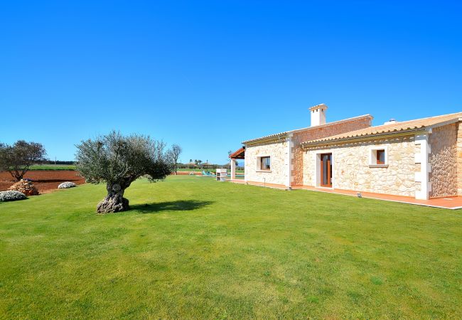 Country house in Muro - Villa Flor de Sal 178 by Mallorca Charme