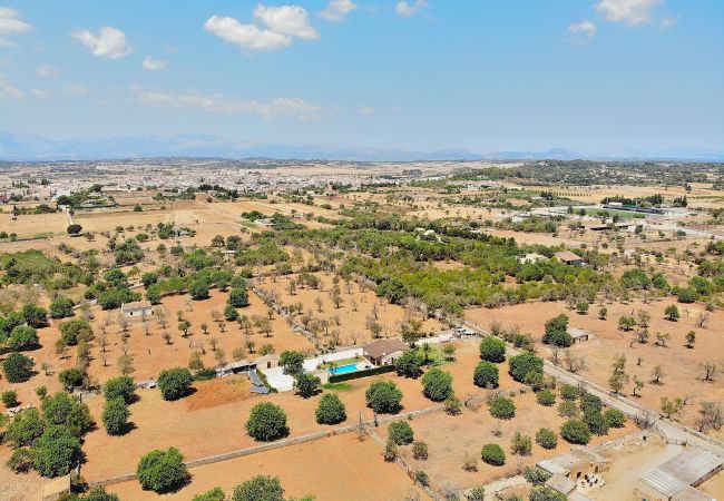 Country house in Santa Margalida - Finca Estret 184 by Mallorca Charme