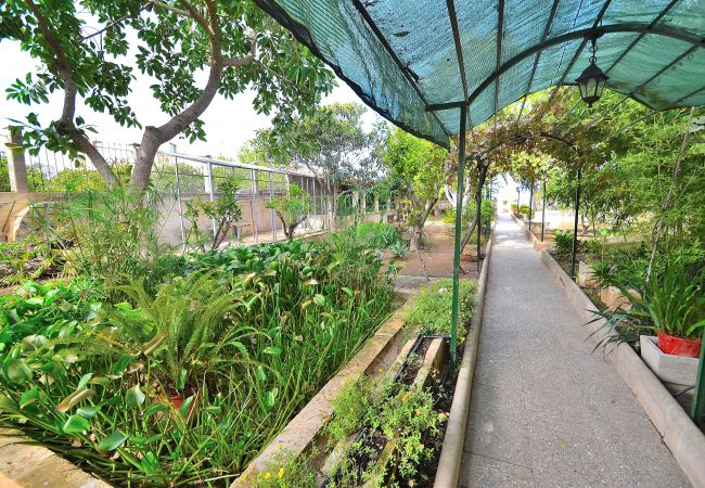 House in Muro - 187 Villa Can Bisbe ETV/8522 by Mallorca Charme House in Muro - 187 Villa Can Bisbe ETV/8522 by Mallorca Charme