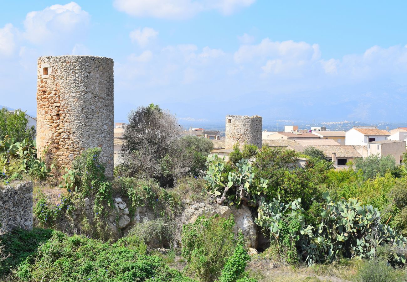 House in Muro - 187 Villa Can Bisbe ETV/8522 by Mallorca Charme