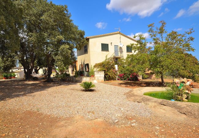 Country house in Muro - Ca Na Flores villa Muro 188 Country house in Muro - Ca Na Flores villa Muro 188