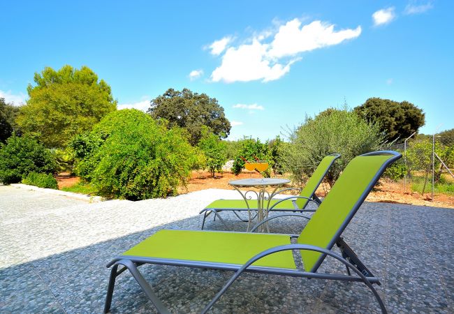 From 100 € per day you can rent your villa in Mallorca From 100 € per day you can rent your villa in Mallorca