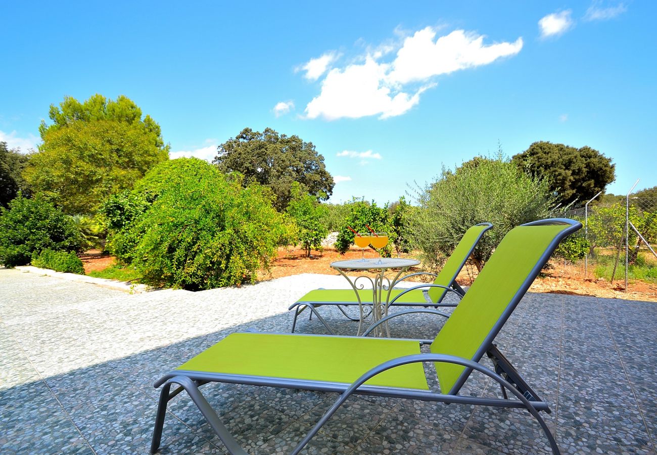 From 100 € per day you can rent your villa in Mallorca From 100 € per day you can rent your villa in Mallorca