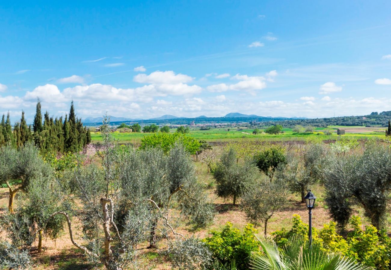 From 100 € per day you can rent your finca for the holidays 