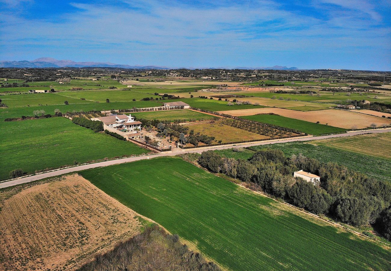 Country house in Petra - Villa Son Perxa 216 by Mallorca Charme