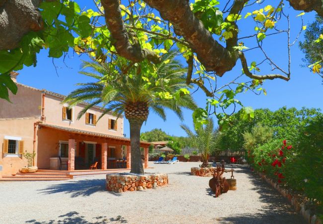 Country house in Campos - Finca Alcoraia 408 by Mallorca Charme
