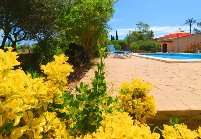 Country house in Es Llombards - Finca Can Cova 413 by Mallorca Charme