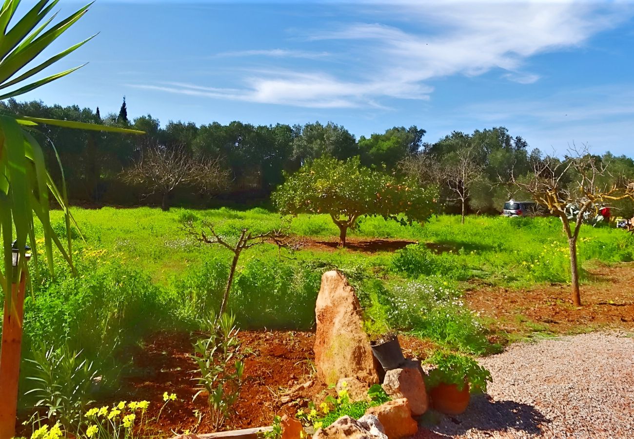 Country house in Llucmajor - Finca Son Antem 420 by Mallorca Charme