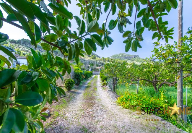 Country house in Sóller - Sa Frontera, Finca 5StarsHome Mallorca Country house in Sóller - Sa Frontera, Finca 5StarsHome Mallorca