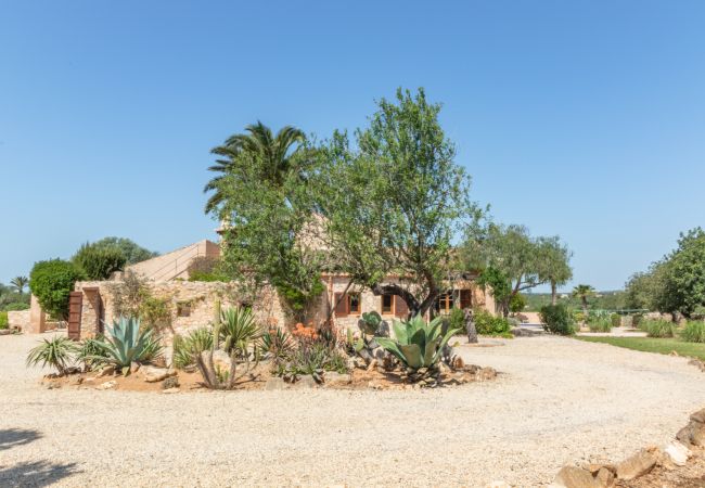 Country house in Santanyi - Finca Aries