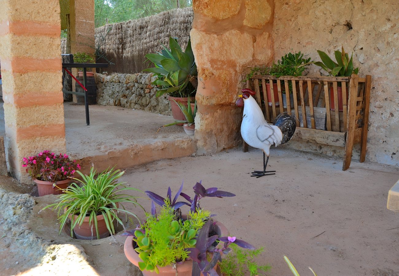 Cottage in Llubi - 005 Finca Can Cortana ETV/7345 by Mallorca Cha