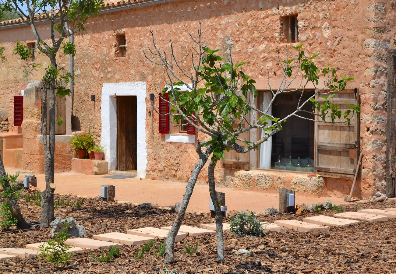 Cottage in Llubi - 005 Finca Can Cortana ETV/7345 by Mallorca Cha