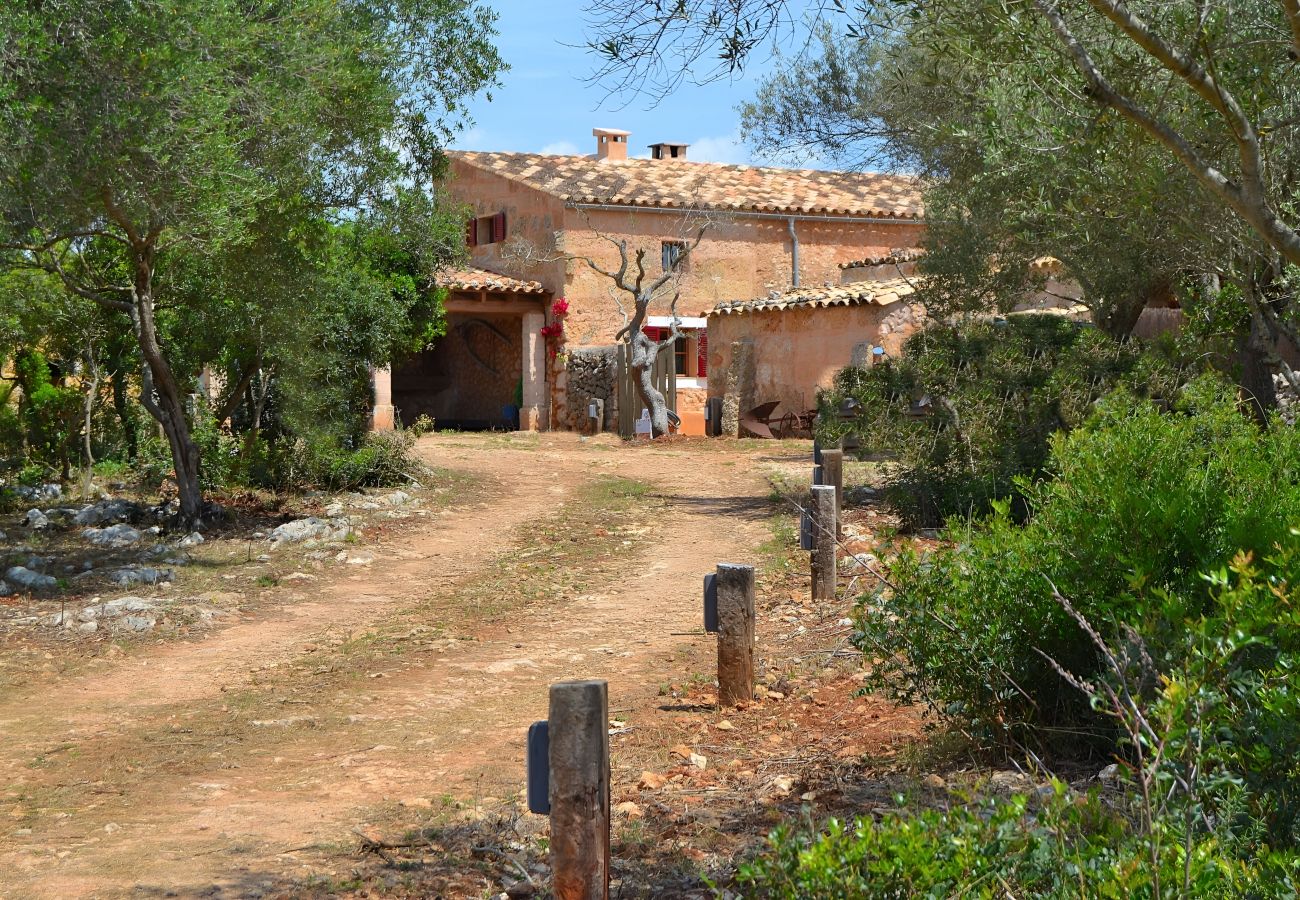 Cottage in Llubi - 005 Finca Can Cortana ETV/7345 by Mallorca Cha