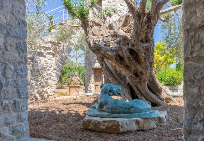 Country house in Arta - Buitre negro, Finca 5StarsHome Mallorca Country house in Arta - Buitre negro, Finca 5StarsHome Mallorca