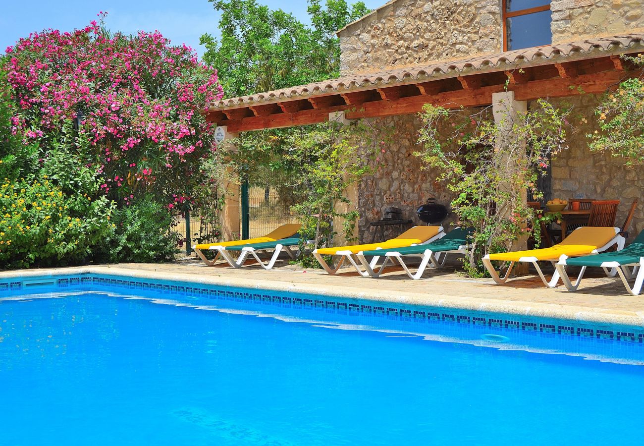 Peace, quiet, swimming pool, sun, terrace