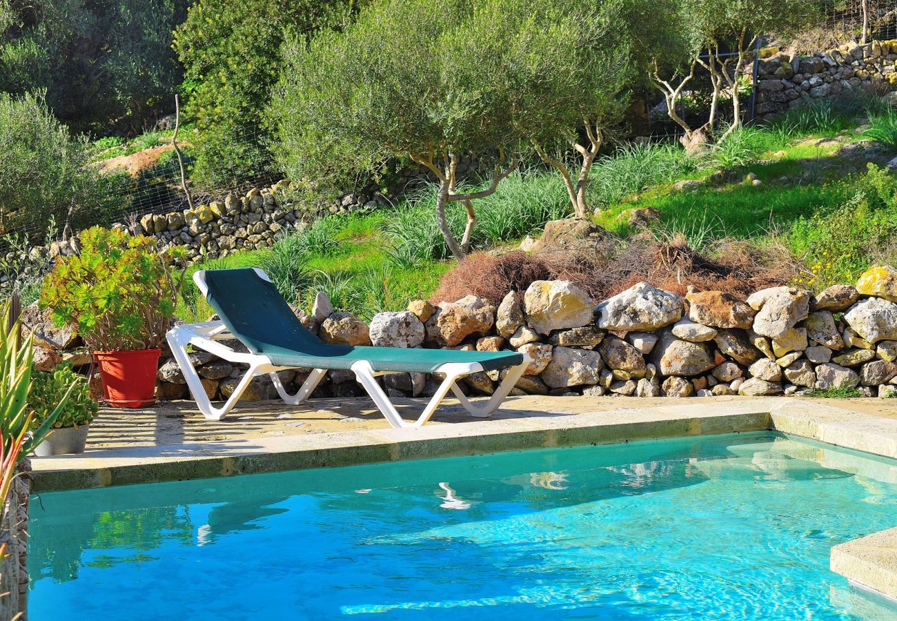 Beautiful photo of the swimming pool of the villa in Alcudia Beautiful photo of the swimming pool of the villa in Alcudia
